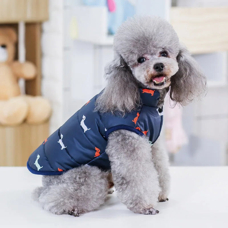07-Abbigliamento per cani di piccola taglia.
