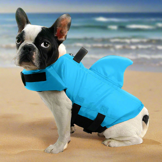03-Life Jacket per Cani – Look da Squalo, Sicurezza Garantita.