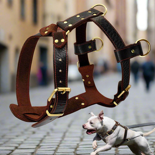 03-Pettorina in Cuoio Marrone – Regolabile per Cani di Taglia Grande